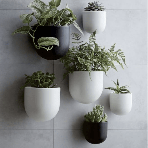 Eco Buddy Hanging FRP Planter