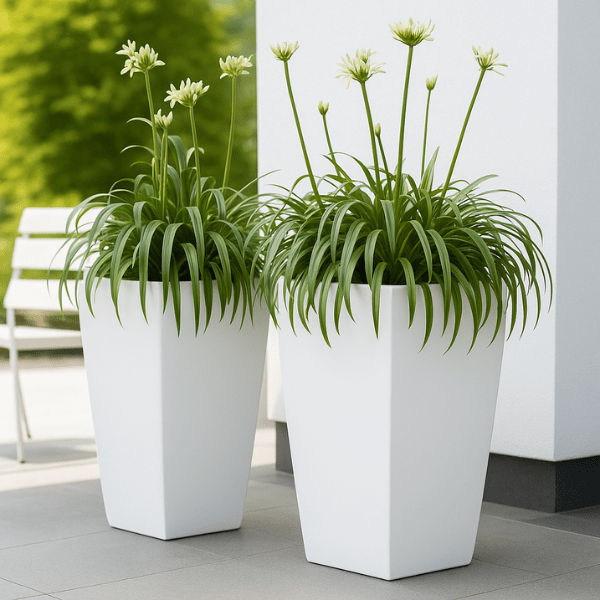 ELEGANT FRP planter