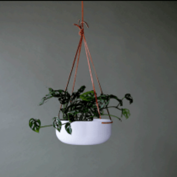 BOWL FRP planter
