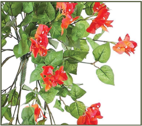 BOUGAINVILLEA 42" : ORANGE