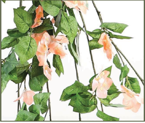 BOUGAINVILLEA 42" : PEACH