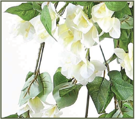 BOUGAINVILLEA 42" : WHITE